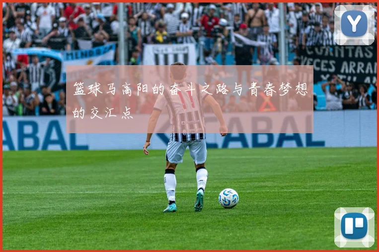 篮球马高阳的奋斗之路与青春梦想的交汇点