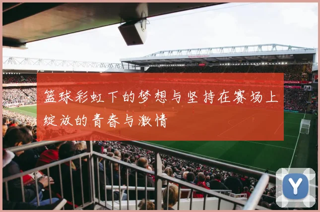 篮球彩虹下的梦想与坚持在赛场上绽放的青春与激情