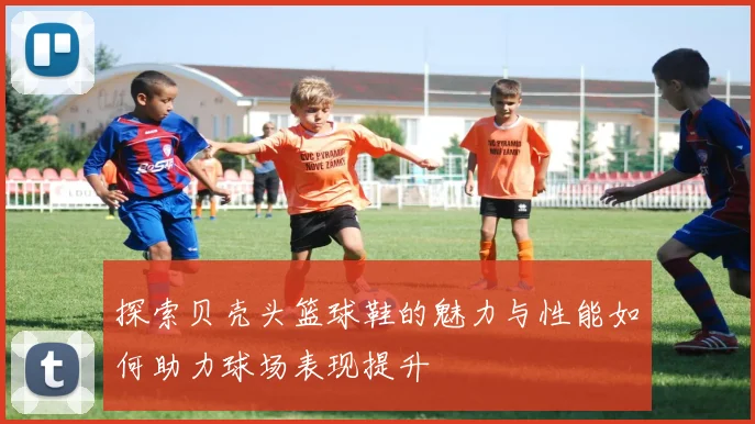 探索贝壳头篮球鞋的魅力与性能如何助力球场表现提升