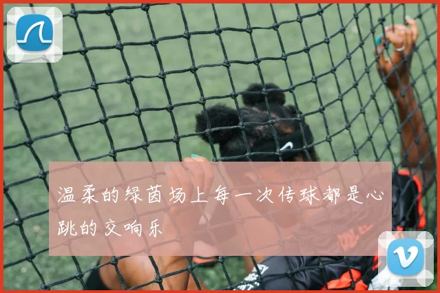 温柔的绿茵场上每一次传球都是心跳的交响乐